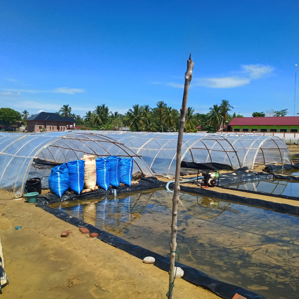 Gampong Matang Tunong juga punya potensi Industri Garam